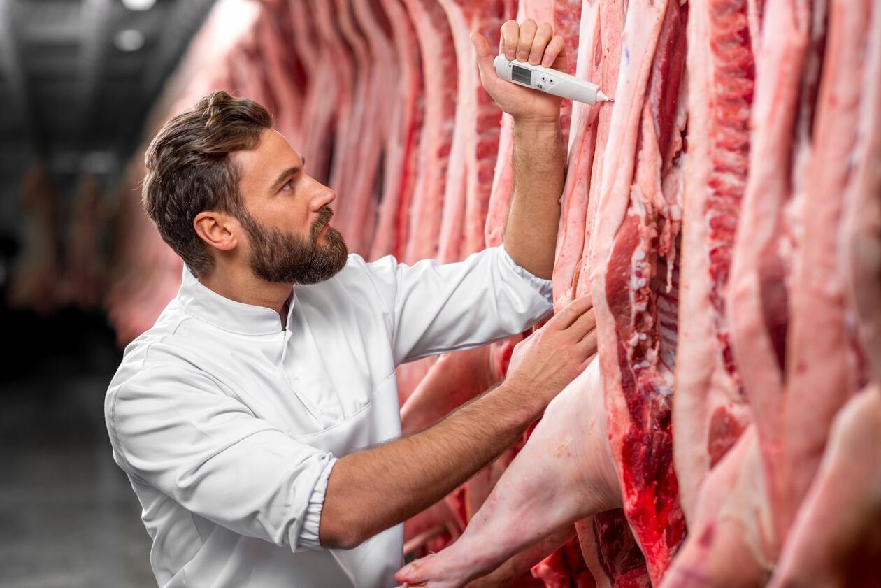 Fleisch.jpg