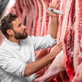 Fleisch.jpg