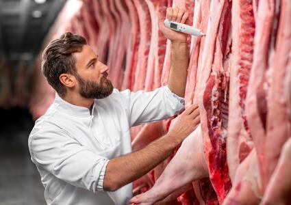 Fleisch.jpg
